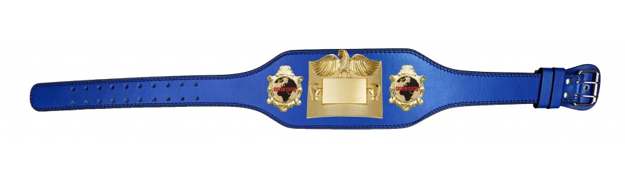 SMALL GOLD EAGLE CUSTOM CHAMPIONSHIP BELT PLT299/G/CUSTOM - AVAILABLE IN 4 COLOURS - BLACK, RED, BLUE, GREEN